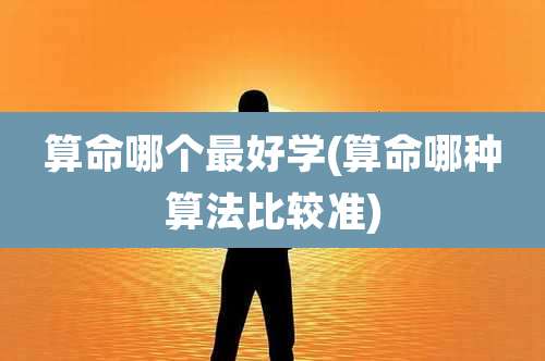 算命哪个最好学(算命哪种算法比较准)