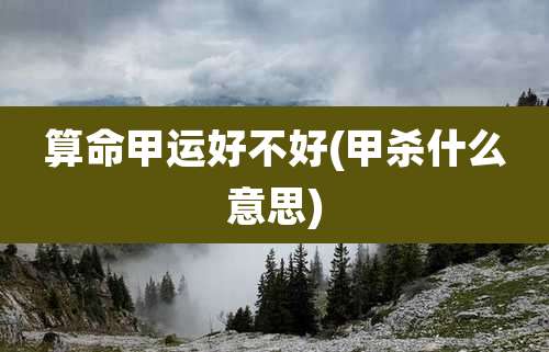 算命甲运好不好(甲杀什么意思)