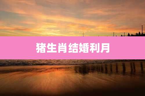 猪生肖结婚利月