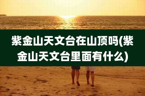 紫金山天文台在山顶吗(紫金山天文台里面有什么)