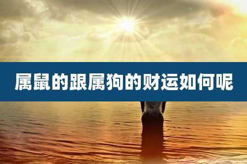 属鼠的跟属狗的财运如何呢