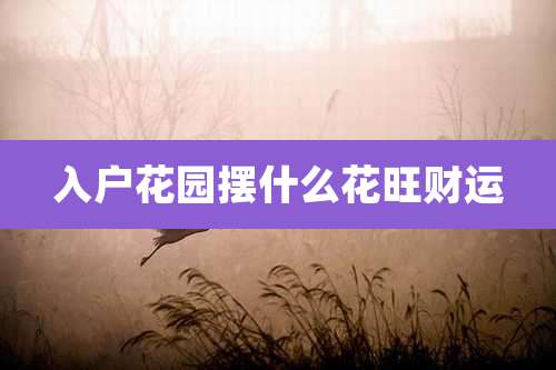 入户花园摆什么花旺财运