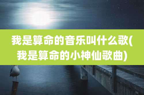 我是算命的音乐叫什么歌(我是算命的小神仙歌曲)