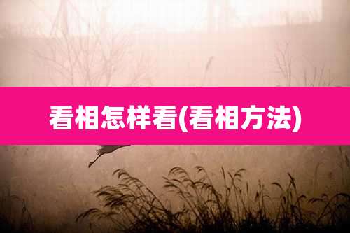 看相怎样看(看相方法)
