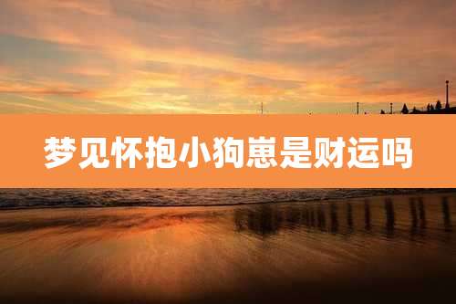 梦见怀抱小狗崽是财运吗