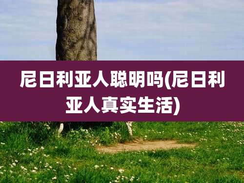 尼日利亚人聪明吗(尼日利亚人真实生活)