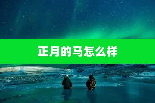 正月的马怎么样