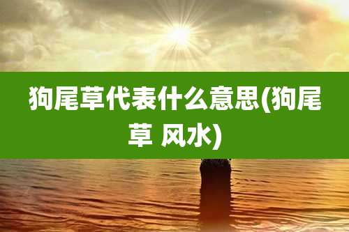 狗尾草代表什么意思(狗尾草 风水)