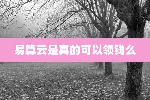 易算云是真的可以领钱么