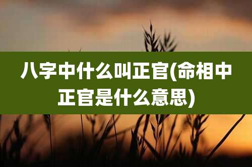 八字中什么叫正官(命相中正官是什么意思)