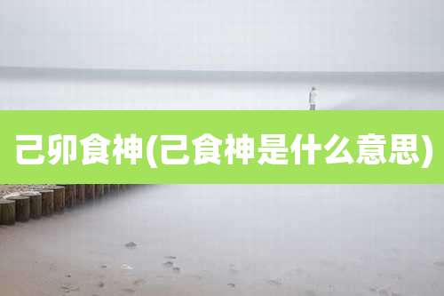 己卯食神(己食神是什么意思)