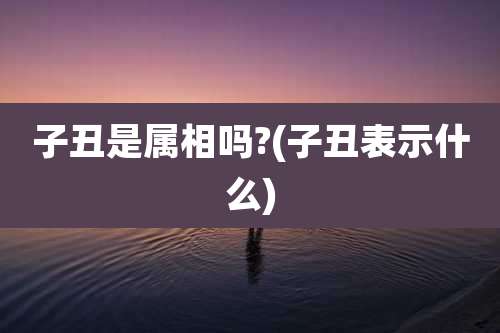 子丑是属相吗?(子丑表示什么)