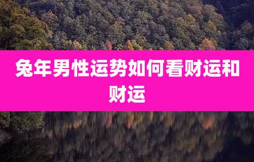 兔年男性运势如何看财运和财运