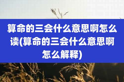 算命的三会什么意思啊怎么读(算命的三会什么意思啊怎么解释)