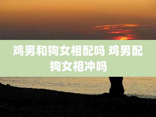 鸡男和狗女相配吗 鸡男配狗女相冲吗