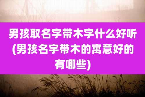 男孩取名字带木字什么好听(男孩名字带木的寓意好的有哪些)