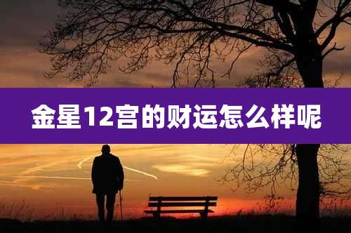金星12宫的财运怎么样呢