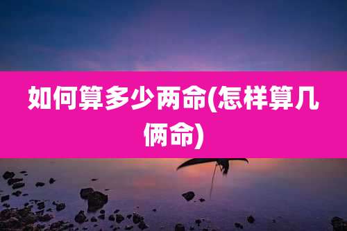 如何算多少两命(怎样算几俩命)