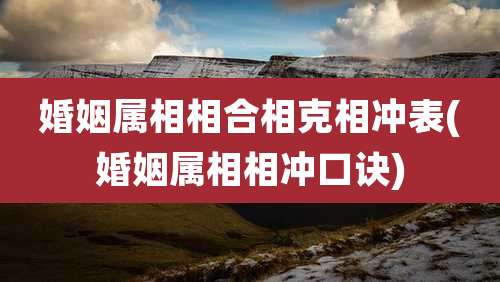 婚姻属相相合相克相冲表(婚姻属相相冲口诀)
