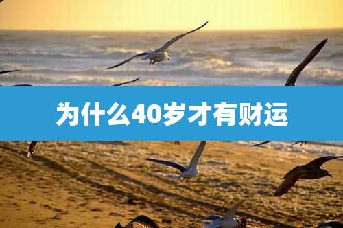 为什么40岁才有财运