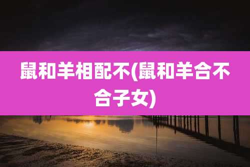 鼠和羊相配不(鼠和羊合不合子女)