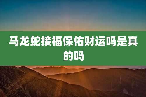 马龙蛇接福保佑财运吗是真的吗