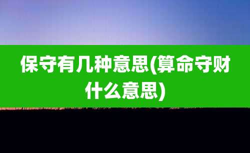 保守有几种意思(算命守财什么意思)