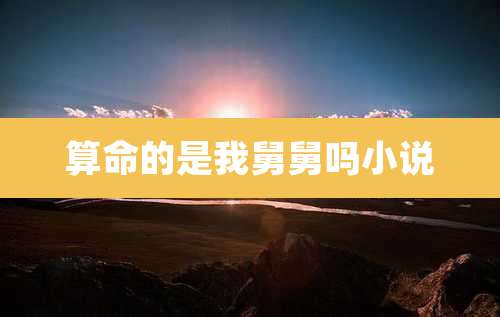 算命的是我舅舅吗小说