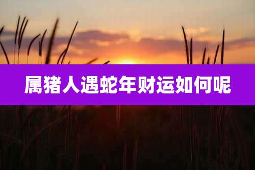 属猪人遇蛇年财运如何呢