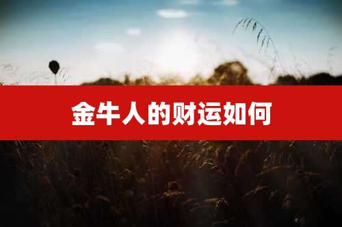 金牛人的财运如何