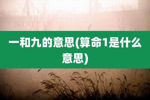 一和九的意思(算命1是什么意思)
