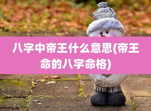 八字中帝王什么意思(帝王命的八字命格)