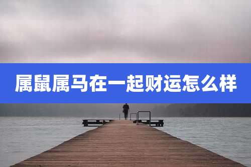 属鼠属马在一起财运怎么样