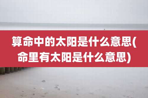 算命中的太阳是什么意思(命里有太阳是什么意思)