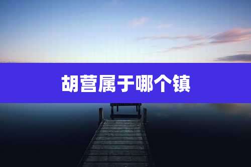 胡营属于哪个镇
