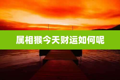 属相猴今天财运如何呢