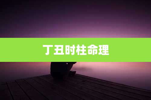 丁丑时柱命理