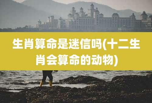 生肖算命是迷信吗(十二生肖会算命的动物)