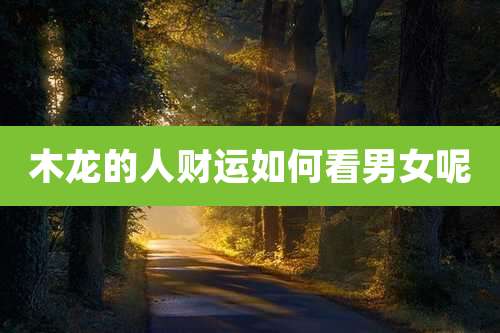 木龙的人财运如何看男女呢