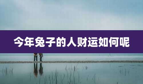 今年兔子的人财运如何呢