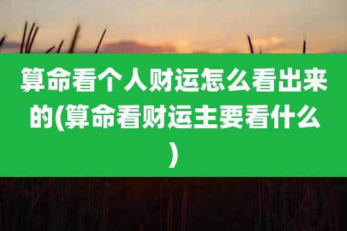 算命看个人财运怎么看出来的(算命看财运主要看什么)