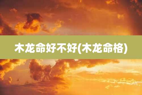 木龙命好不好(木龙命格)