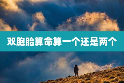 双胞胎算命算一个还是两个