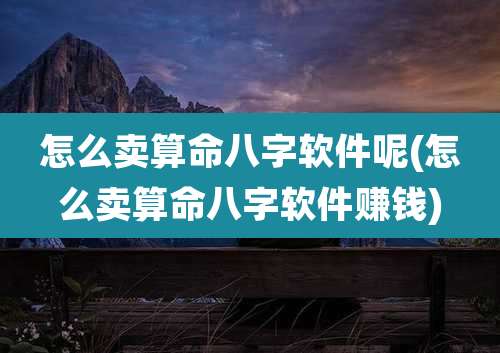 怎么卖算命八字软件呢(怎么卖算命八字软件赚钱)