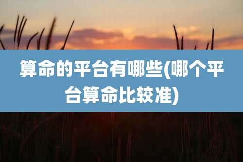 算命的平台有哪些(哪个平台算命比较准)