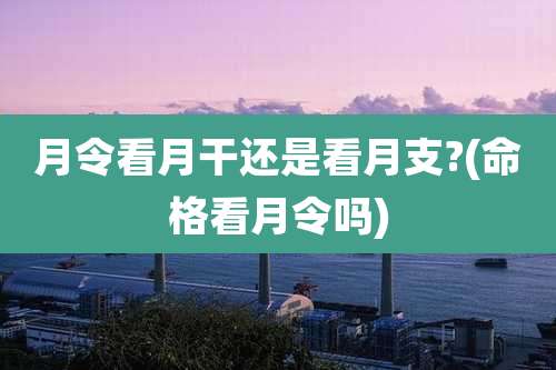 月令看月干还是看月支?(命格看月令吗)