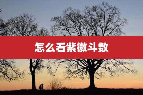 怎么看紫徽斗数