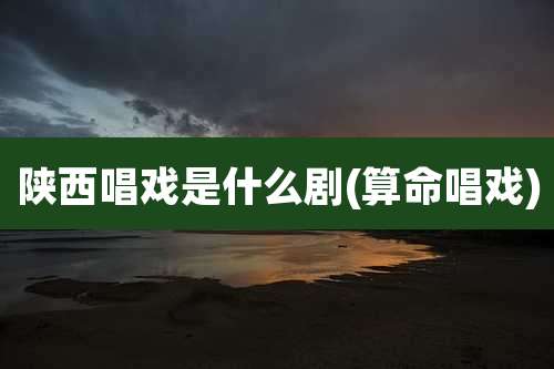 陕西唱戏是什么剧(算命唱戏)