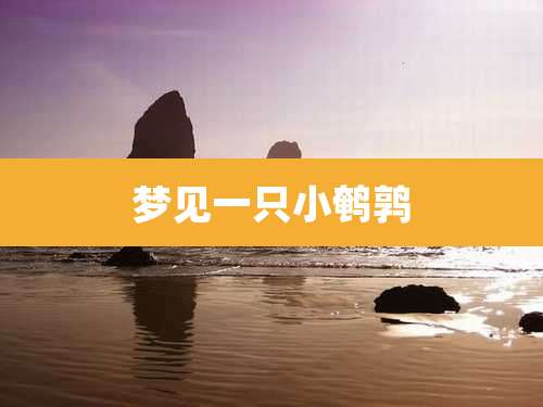 梦见一只小鹌鹑
