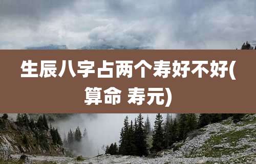 生辰八字占两个寿好不好(算命 寿元)